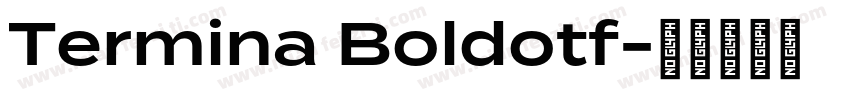 Termina Boldotf字体转换